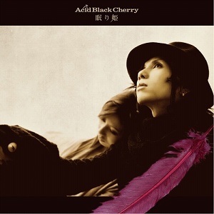【Sola】確認用Acid Black Cherryおまとめ Sola様専用】確認用Acid Black Cherryおまとめ ゆーや様専用