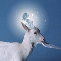 『ゆめの在りか』