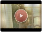 「やさしさで溢れるように」