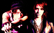 VAMPS
