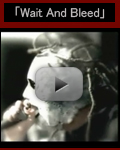 「Wait And Bleed」