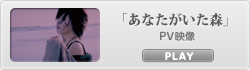 「あなたがいた森」PV映像