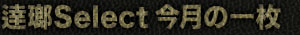 逹瑯Select 今月の一枚