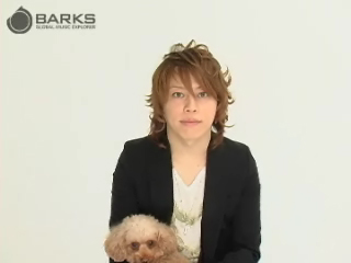 インタヴュー映像