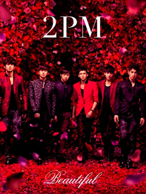 2PM、日本武道館6DAYSライブ大盛況 | BARKS