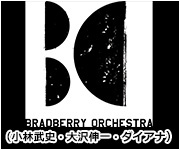 BRABERRY ORCHESTRA