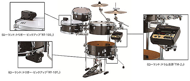 ローランドとTAMAがコラボ、アコースティックと電子による