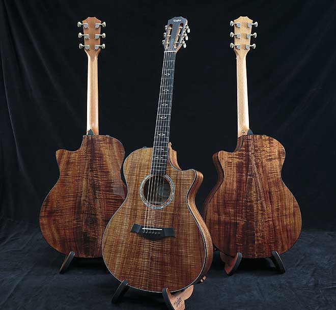 Taylorから希少なAAグレードのハワイアン・コア材を使用した日本