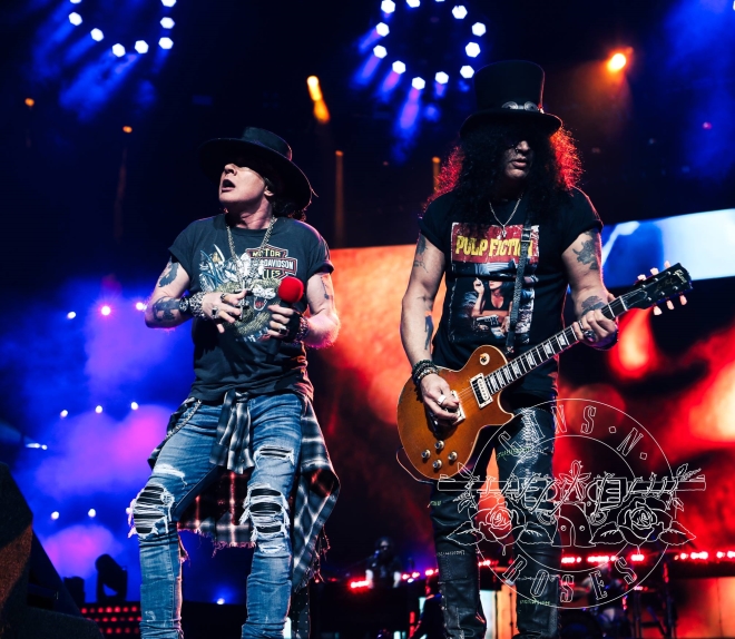 ガンズアンドローゼス　ピック Guns N’ Roses Slash スラッシュ Amazon | Slash スラッシュ Guns N' Roses ガンズ アンド
