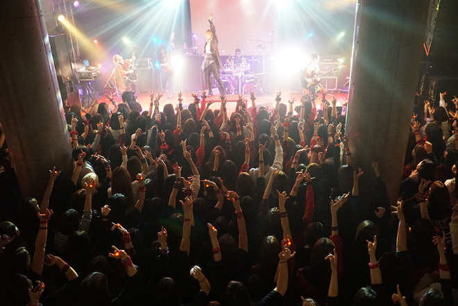 Anli Pollicino／LAST TOUR「Immortal」DVD4枚 Anli Pollicino、9年の活動にピリオド「見つけてくれて