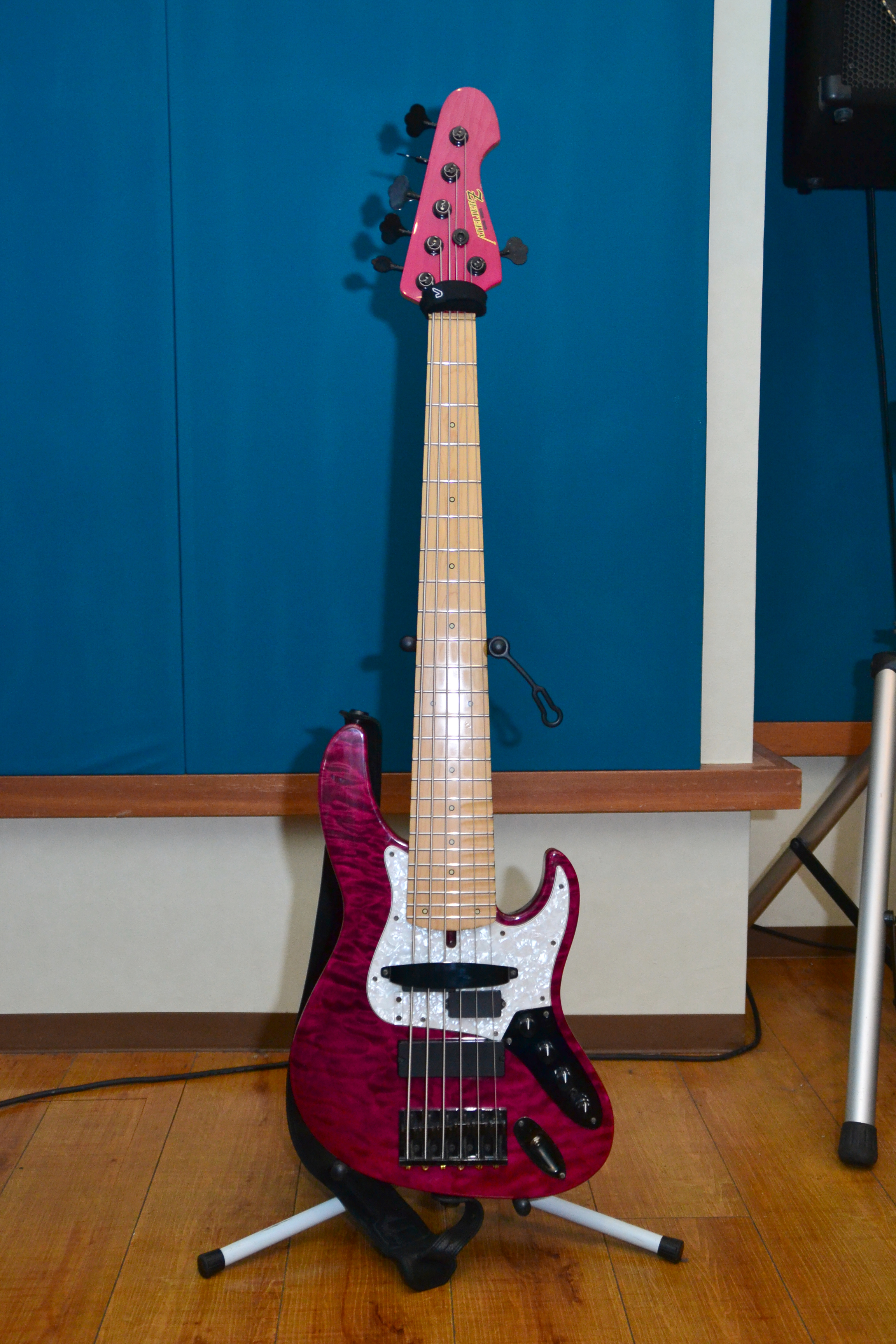 プロミュージシャンのスペシャル楽器が見たい】仮BAND BOHの愛機