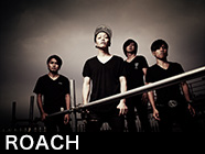 ROACH