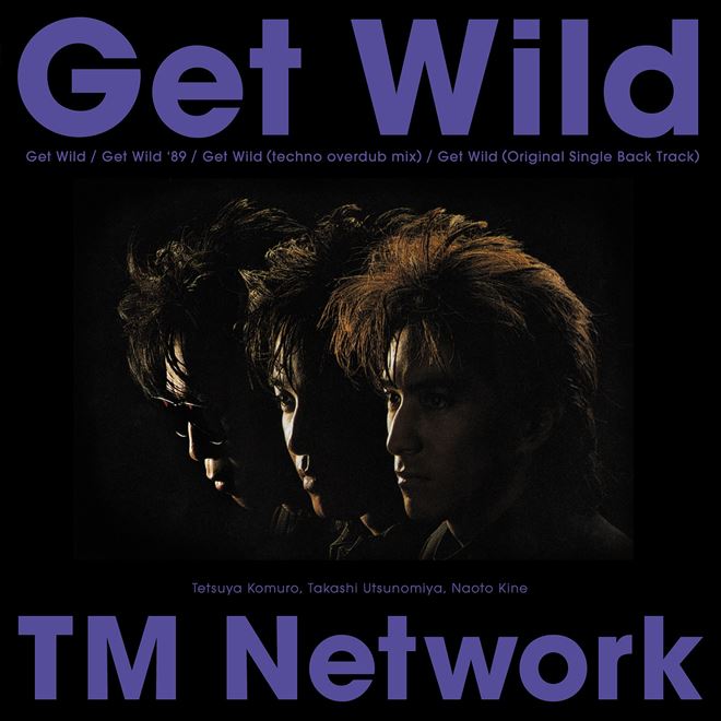 TM NETWORK Get Wild 30周年企画レコード！ 貴重 30周年記念盤 レコード〔 TMネットワーク - Get Wild