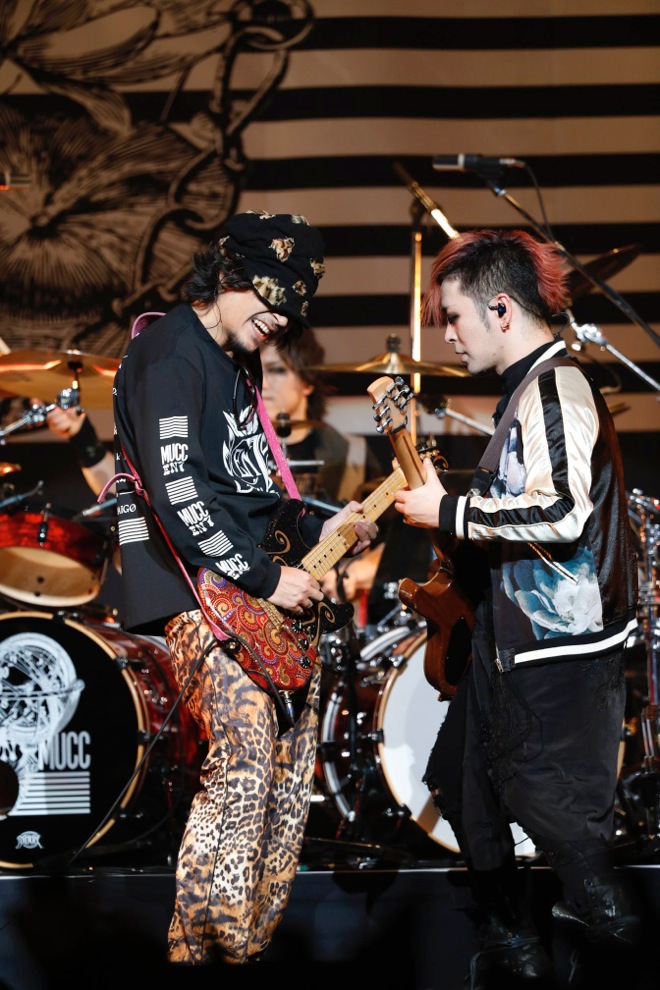 ムック mucc えん7 FINAL in 武道館フライヤーセット確認用 ムック mucc えん7 FINAL in 武道館フライヤーセット確認用の