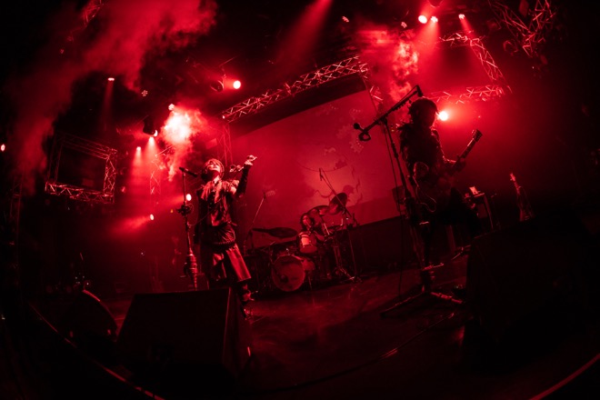 ミュージック ALICE IN MENSWEAR Live DVD ミュージック ALICE IN MENSWEAR Live DVD ミュージック ALICE