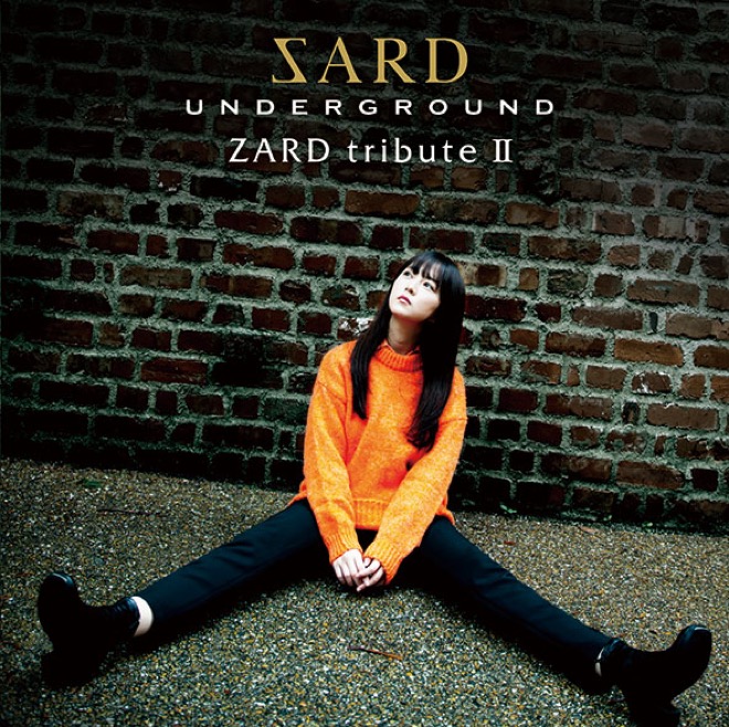 新品　希少品　ZARD 坂井泉水　　靴ベラ SARD UNDERGROUND、「Get U're Dream」MVに坂井泉水の愛用マイク