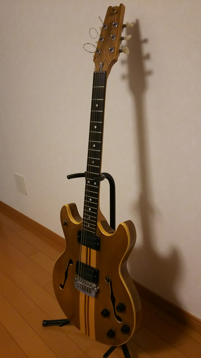 Aria Pro II アリアプロ2 スルーネック＆ホロウボディ レアモデル Aria ProⅡ/アリアプロ2 SH-800 スルーネック＆ホロウボディ