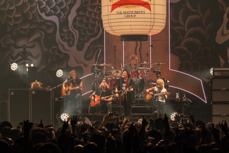 TMG LIVE 2024 Jack ジャックブレイズ ピック 松本孝弘 B'z松本孝弘率いる日米バンド・TMGの20年ぶりツアー千秋楽