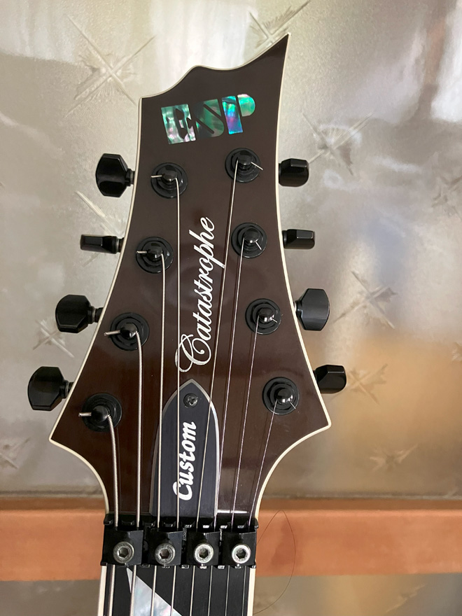 Akuon PJX-8000 希少材が詰まった豪華夢のギター Akuon PJX-8000 希少材が詰まった豪華夢のギター Akuon PJX-8000