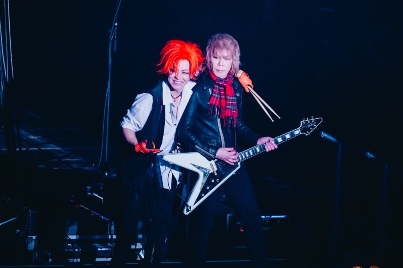 SIAM SOPHIAセット SIAM SHADE SOPHIA ひまわり SIAM SOPHIAセット SIAM SHADE SOPHIA ひまわり SOPHIA×SIAM