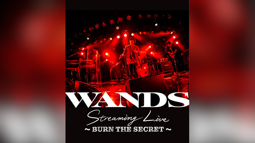 WANDS BOLD ライブBlu-ray WANDS OFFICIAL WEBSITE