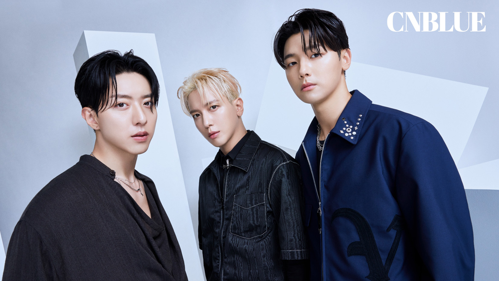 CNBLUE ピック　ドラムスティック　ヨンファ　ジョンシン　ミニョク CNBLUE ピック ドラムスティック ヨンファ ジョンシン ミニョク