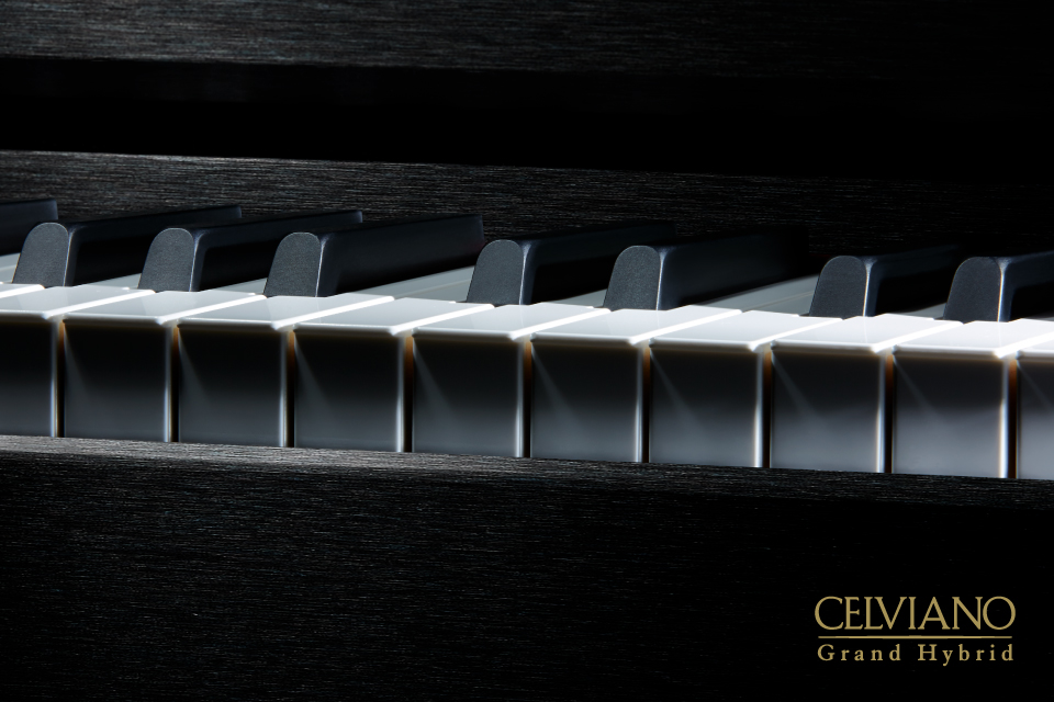 CELVIANO Grand Hybrid GP-310