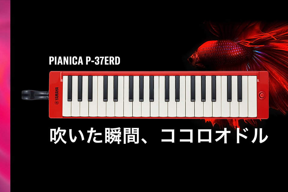 ピックアップ 02