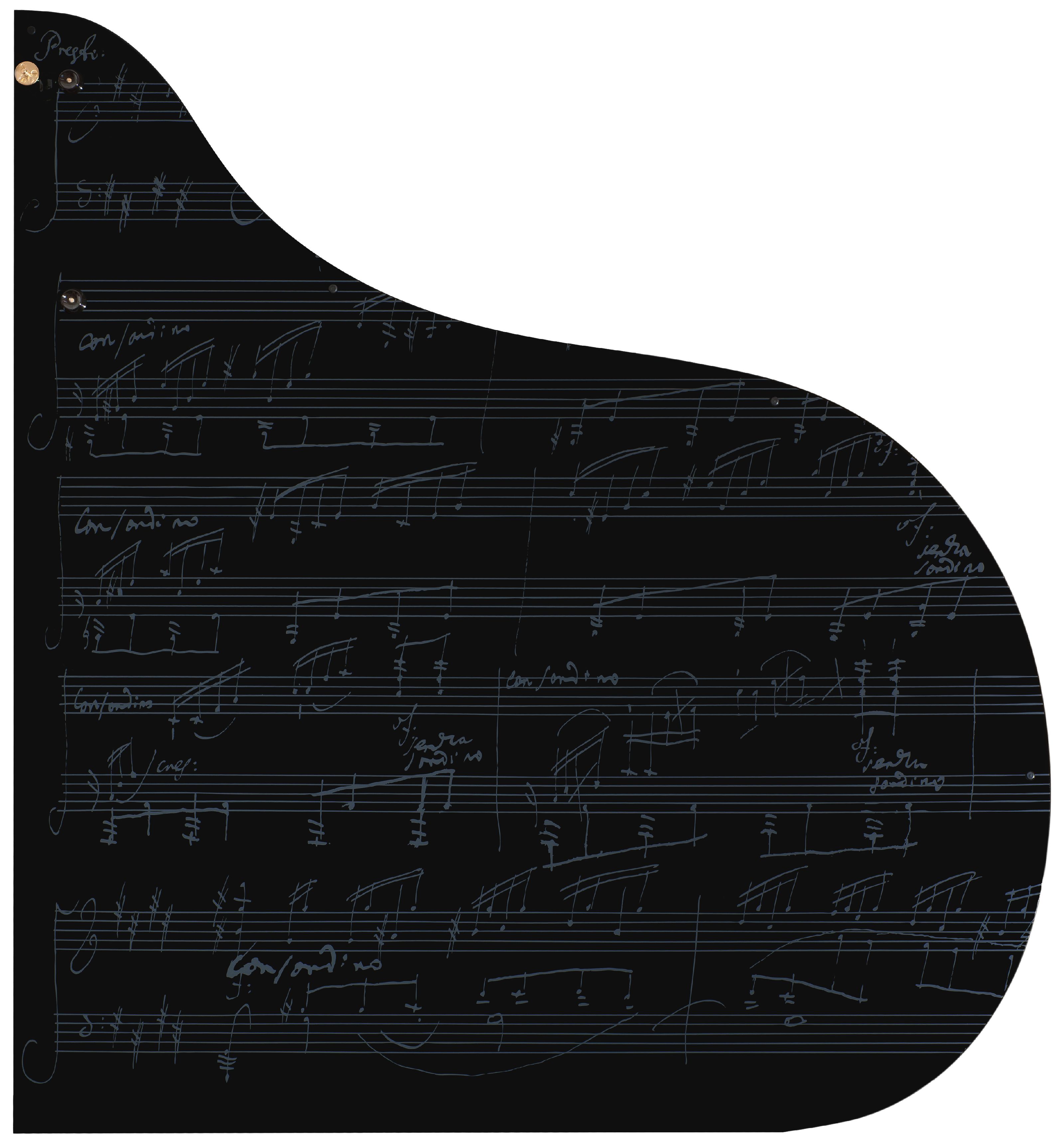 ベーゼンドルファー『ベートーヴェン生誕250周年記念モデル』