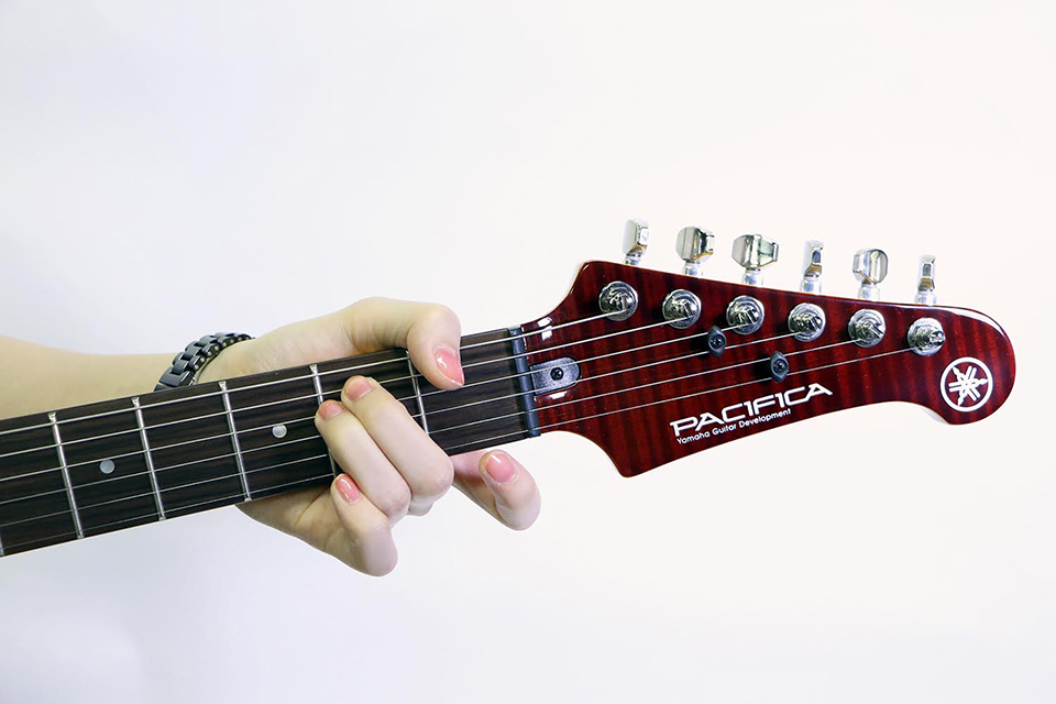 PACIFICA ＆ REVSTARシリーズ