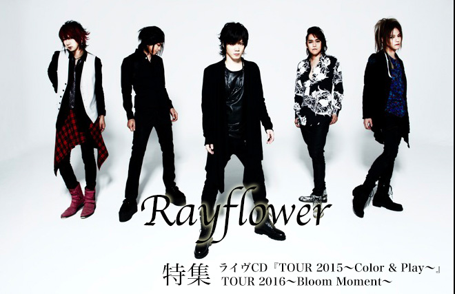 Rayflower特集