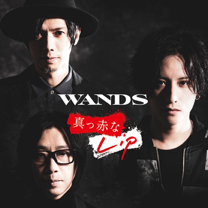 特集】WANDS、復活 | BARKS