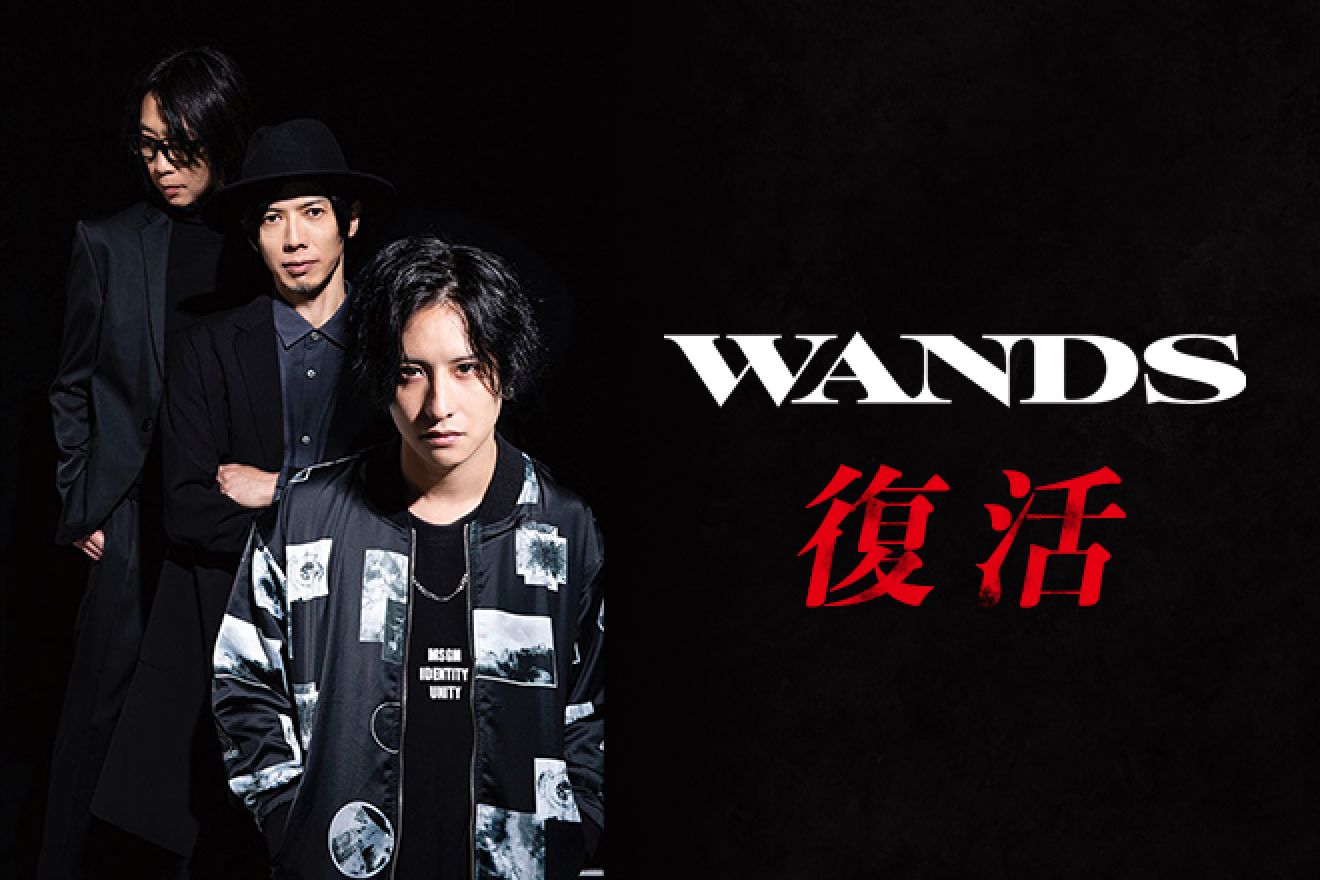 【特集】WANDS、復活