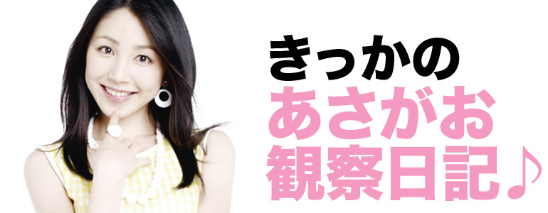 きっかのあさがお観察日記♪