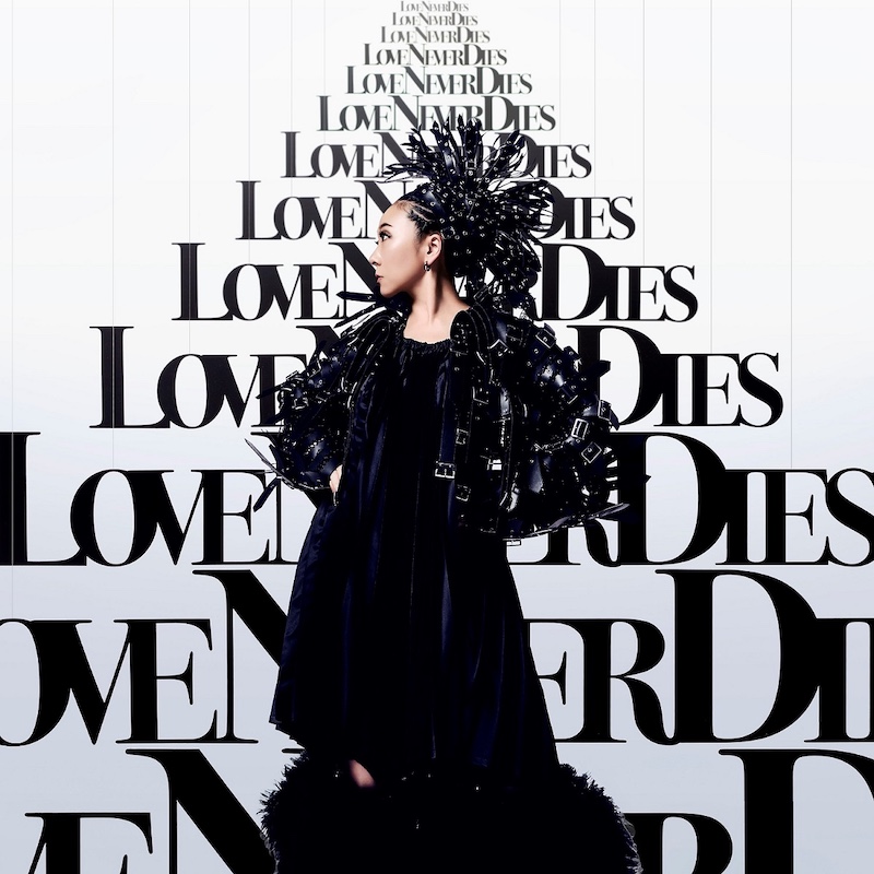 美品 MISIA 星空Ⅹ ツアーブルゾン 美品 MISIA 星空Ⅹ ツアーブルゾン 美品 MISIA 星空Ⅹ ツアー