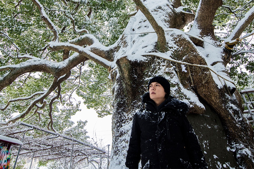 福山雅治、「クスノキ-500年の風に吹かれて-」配信決定。KUSUNOKI