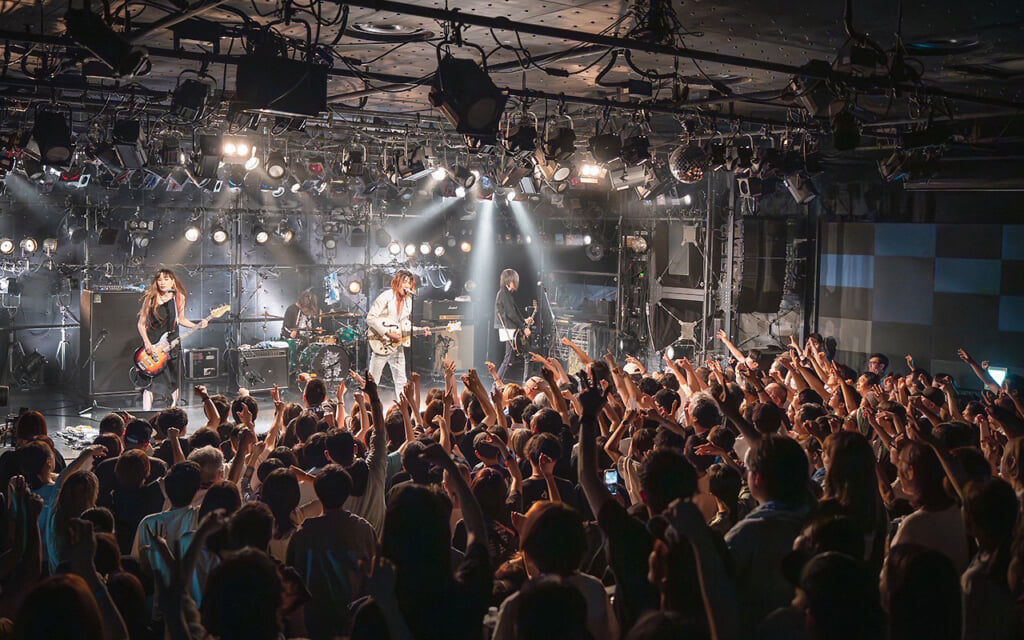 連載コラム】a flood of circle『THE WILD BUNNY DIARIES』35本目