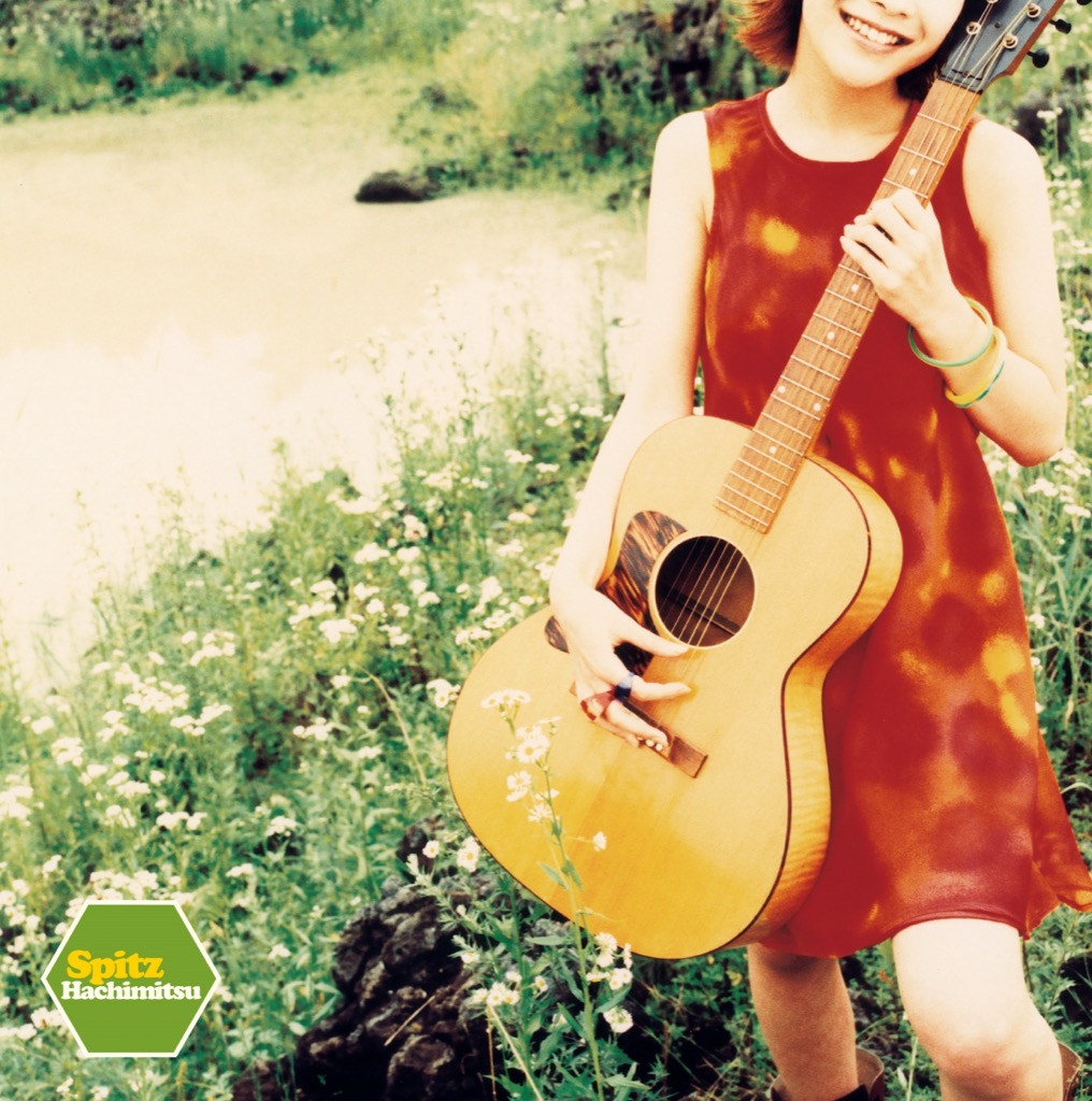 スピッツ Sazanami LP 30周年記念 スピッツ さざなみLP Spitz 30周年記念限定盤レコード2枚組