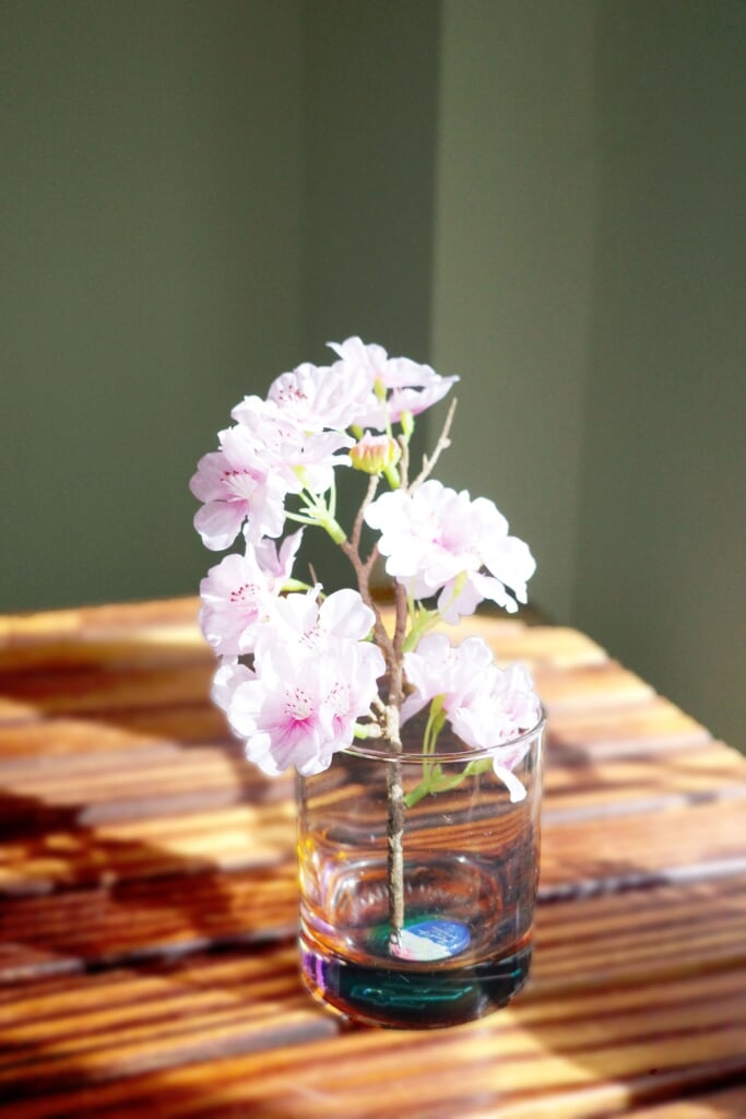 サザンオールスターズ、＜THANK YOU SO MUCH!!＞ツアーBD&DVD