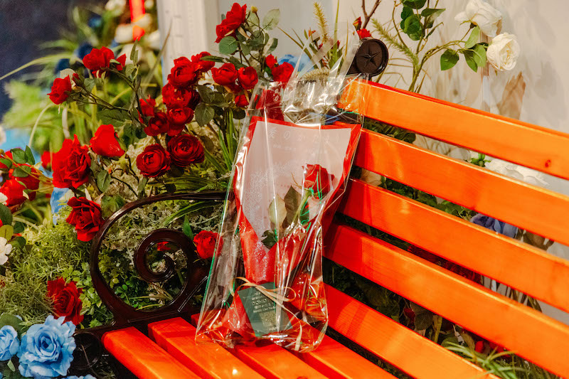 DOMOTO POP-UPイベント配布品　薔薇　1度も袋から出しておりません。 DOMOTO、「愛のかたまり」リリース記念で6000本の薔薇プレゼント | BARKS