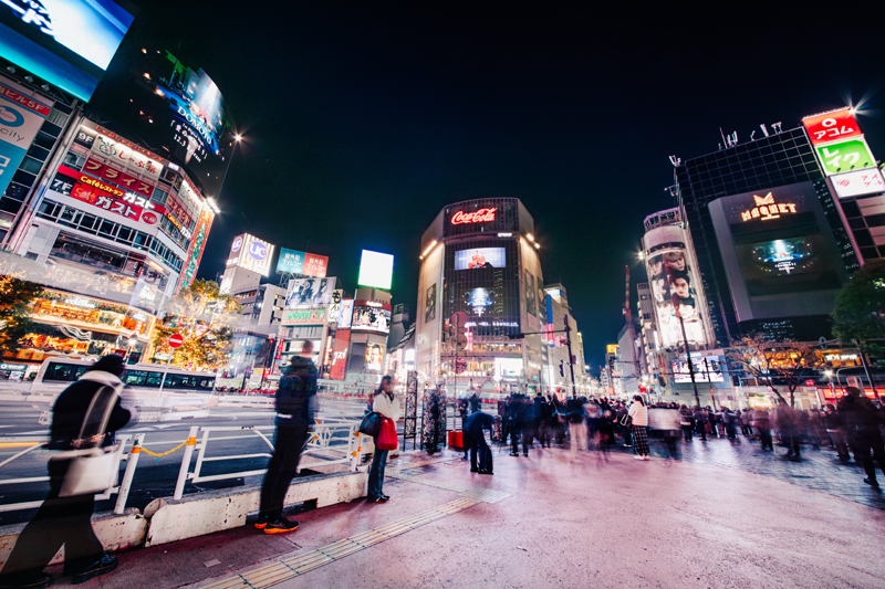 DOMOTO、「愛のかたまり」リリース記念で6000本の薔薇プレゼント | BARKS