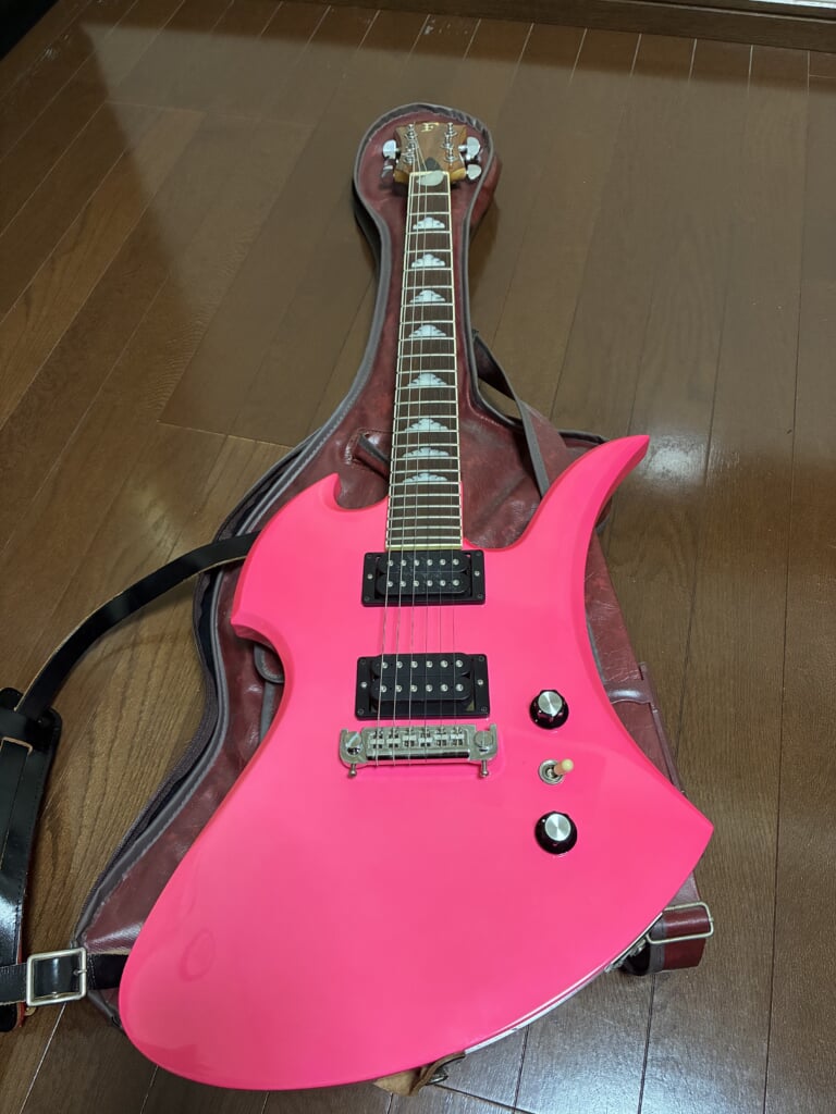 モッキンバード(hide好きな方向け) 新しく見つけたこのhideのギター、コレクションに加えるには最高だけど